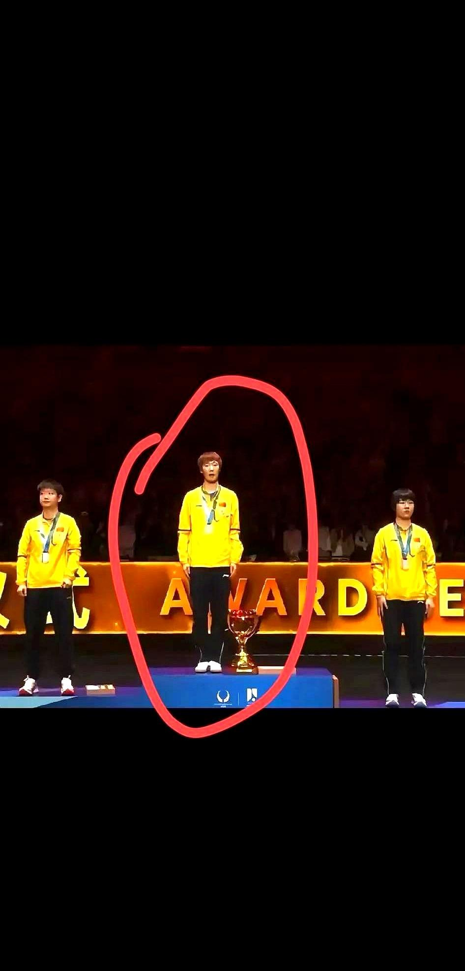 队友默契配合，共同摘得桂冠的简单介绍